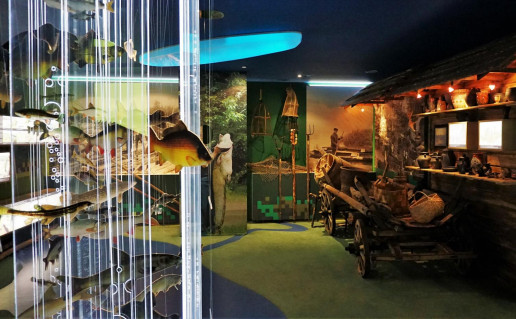 30_MErkines LC Brolaii Čer (1).jpg